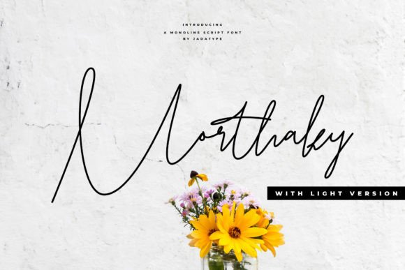 Morthaky: Elevating Digital Brand Identity with Script Typography