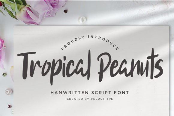 Tropical Peanuts: A Script Font for Modern Web Design
